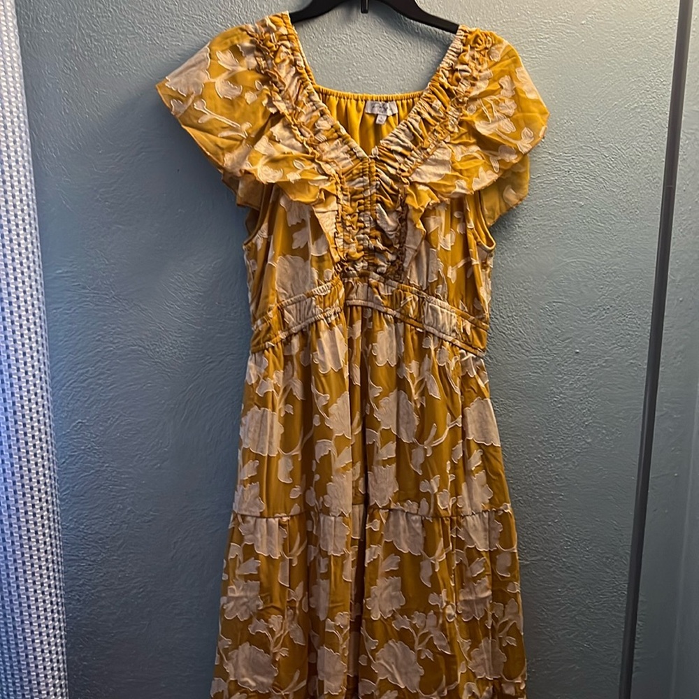 Gorgeous women’s dress